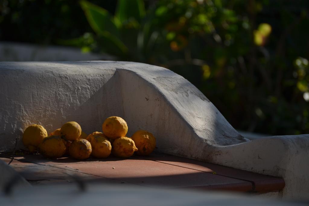 Schicciolina Villa Stromboli Buitenkant foto
